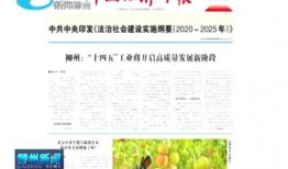 12月份活动爆料新闻,年度狂欢活动亮点抢先看”